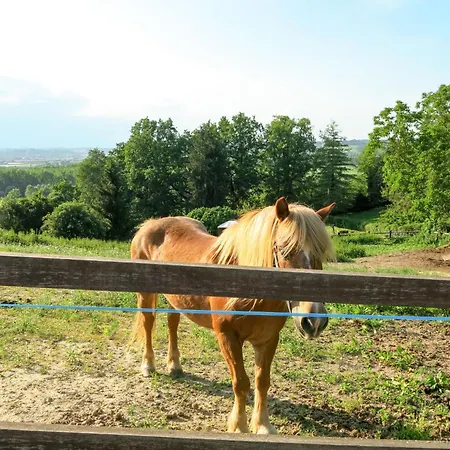 Dom wakacyjny Elena By Interhome *