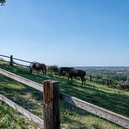 Elena By Interhome Dom wakacyjny *