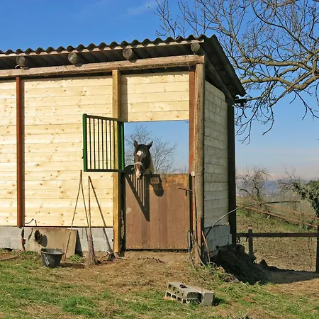 Elena By Interhome