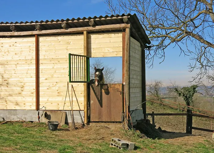 Elena By Interhome